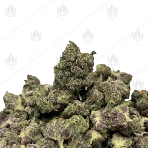 PINK PISTOL (SMALLS) - QUAD GAS - Image 1