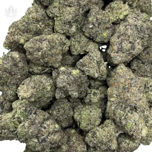 JOKER PINK (QUAD GAS) - Image 2