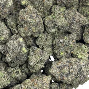 JOKER PINK (QUAD GAS) - Image 3