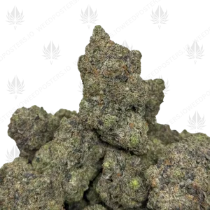 JOKER PINK (QUAD GAS) - Image 1