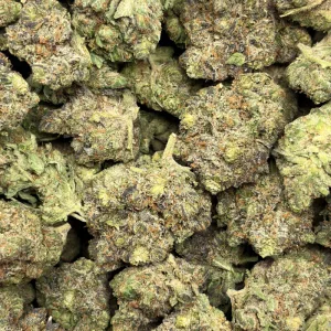 ROCK TUNA (TRIP GAS) - Image 3