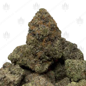 LARRY OG (QUAD GAS) - Image 1