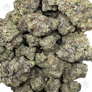 PURPLE PANTHER (QUAD GAS) - Image 2