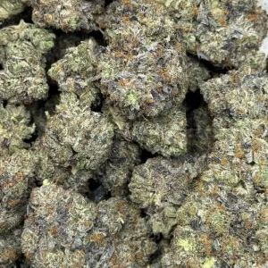 PURPLE PANTHER (QUAD GAS) - Image 3