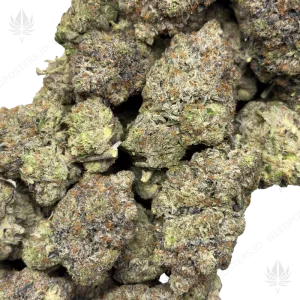 GREASY TOM FORD (QUAD GAS) - Image 2