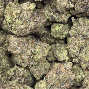 GREASY TOM FORD (QUAD GAS) - Image 3