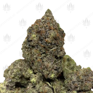 GREASY TOM FORD (QUAD GAS) - Image 1