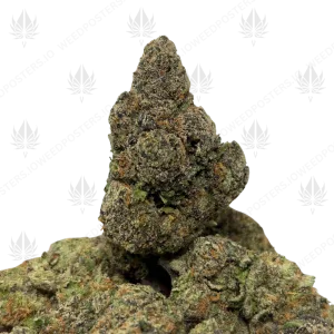 LONDON POUND CAKE (QUAD EXOTICS) - Image 1