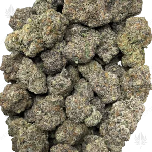 MAUI SKUNK (QUAD EXOTICS) - Image 2
