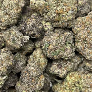 MAUI SKUNK (QUAD EXOTICS) - Image 3