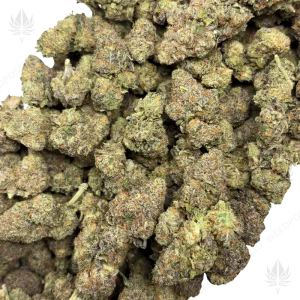 BLACKBERRY MINTZ (TRIP EXOTICS) - Image 2
