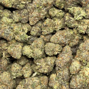 BLACKBERRY MINTZ (TRIP EXOTICS) - Image 3
