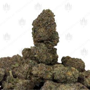 BLACKBERRY MINTZ (TRIP EXOTICS) - Image 1