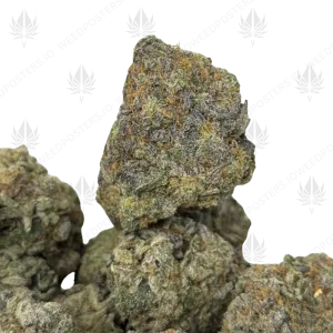 MANDARIN SUNSET (TRIP EXOTICS) - Image 1