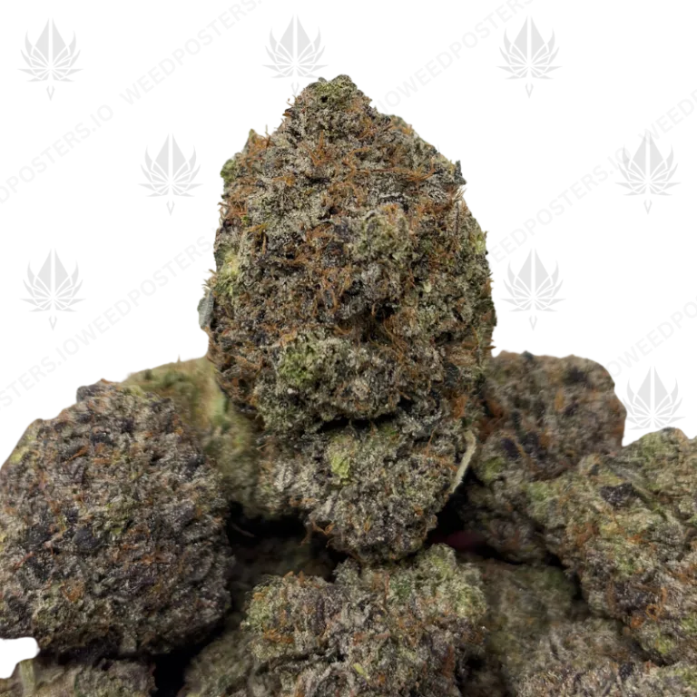 MBAPPE PINK KUSH (QUAD GAS)