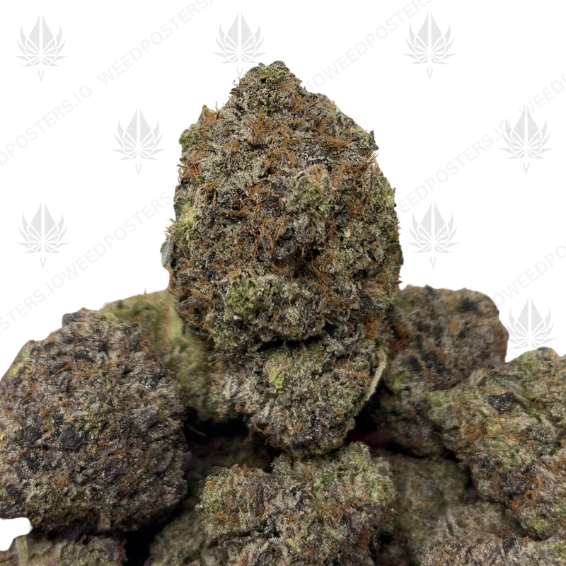 MBAPPE PINK KUSH (QUAD GAS)