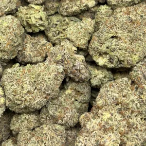 SUNSET SHERBET (QUAD EXOTICS) - Image 3