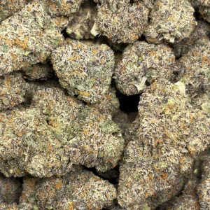 BACIO GELATO (QUAD EXOTICS) - Image 3