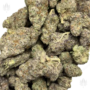 GRAPE PIE (QUAD EXOTICS) - Image 2