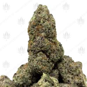 GRAPE PIE (QUAD EXOTICS) - Image 1