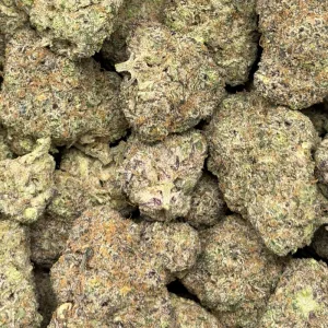 ZOAP (QUAD EXOTICS) - Image 3