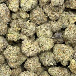 TROPICANA (SATIVA) - Image 3