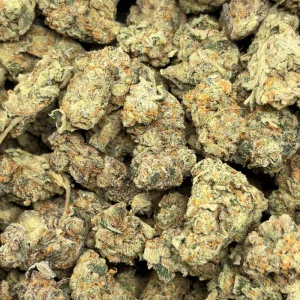 HAWAIIAN DREAM (TRIP EXOTICS) - Image 3
