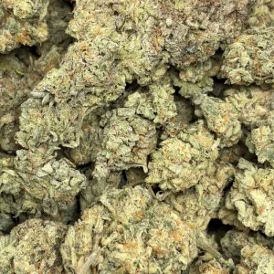 TROPICAL GUAVA (TRIP EXOTICS) - Image 3