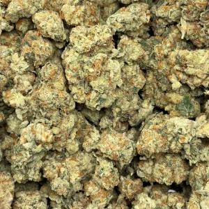 PLATINUM GUSHERS (TRIP EXOTICS) - Image 3