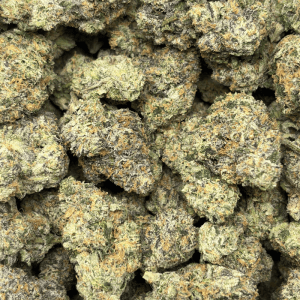 OG CREAM CAKE (QUAD EXOTICS) - Image 3