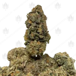 PLATINUM PUNCH HAZE (SATIVA)