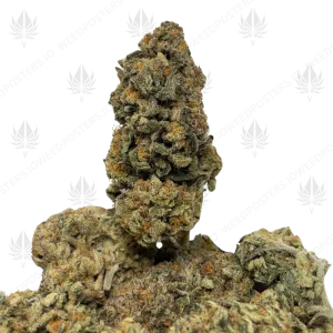 PLATINUM PUNCH HAZE (SATIVA)