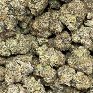 KNOCKOUT PINK (LSO GAS) - Image 3
