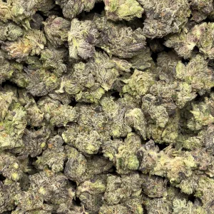 BUBBA'S MOTORBREATH (TRIP GAS) - Image 3