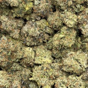 PINK PRESSURE (TRIP GAS) - Image 3