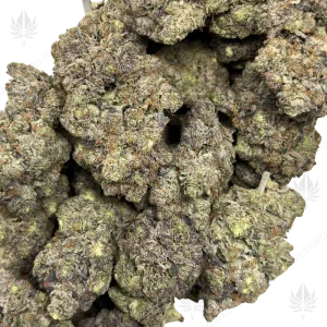 EL MUERTE (QUAD GAS) - Image 2