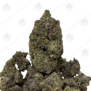 EL MUERTE (QUAD GAS) - Image 1