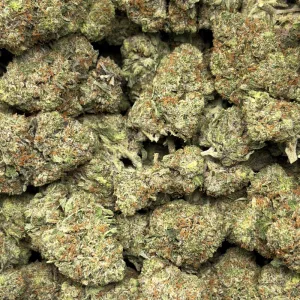 PINK HASHPLANT (TRIP GAS) - Image 3