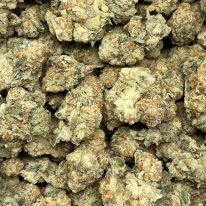PHANTOM COOKIES (TRIP EXOTICS) - Image 3