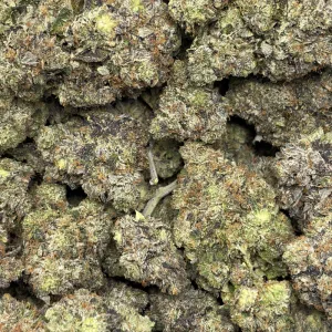 PURPLE ROCKSTAR (QUAD GAS) - Image 3
