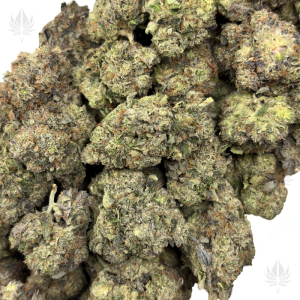 ISLAND PINK (QUAD GAS) - Image 2