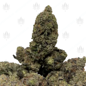 ISLAND PINK (QUAD GAS) - Image 1