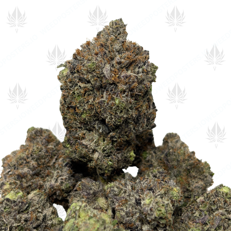 PINK BUBBA (QUAD GAS)