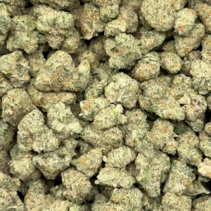 POWER PLANT (TRIP EXOTICS) - Image 3