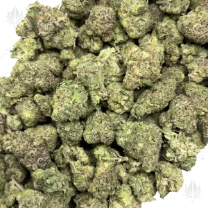 GAS FACE (TRIP EXOTICS) - Image 3