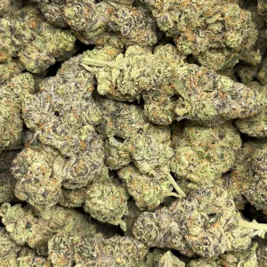 KUSH MINTZ (QUAD EXOTICS) - Image 3