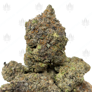 PINK DARTH VADER (QUAD GAS) - Image 1
