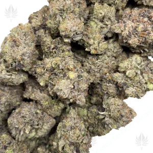 PINKY & THE BRAIN (QUAD GAS) - Image 2