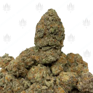 GRAPE STARDUST (TRIP EXOTICS) - Image 1