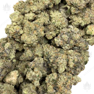 MAPLE WILDFIRE (QUAD EXOTICS) - Image 2